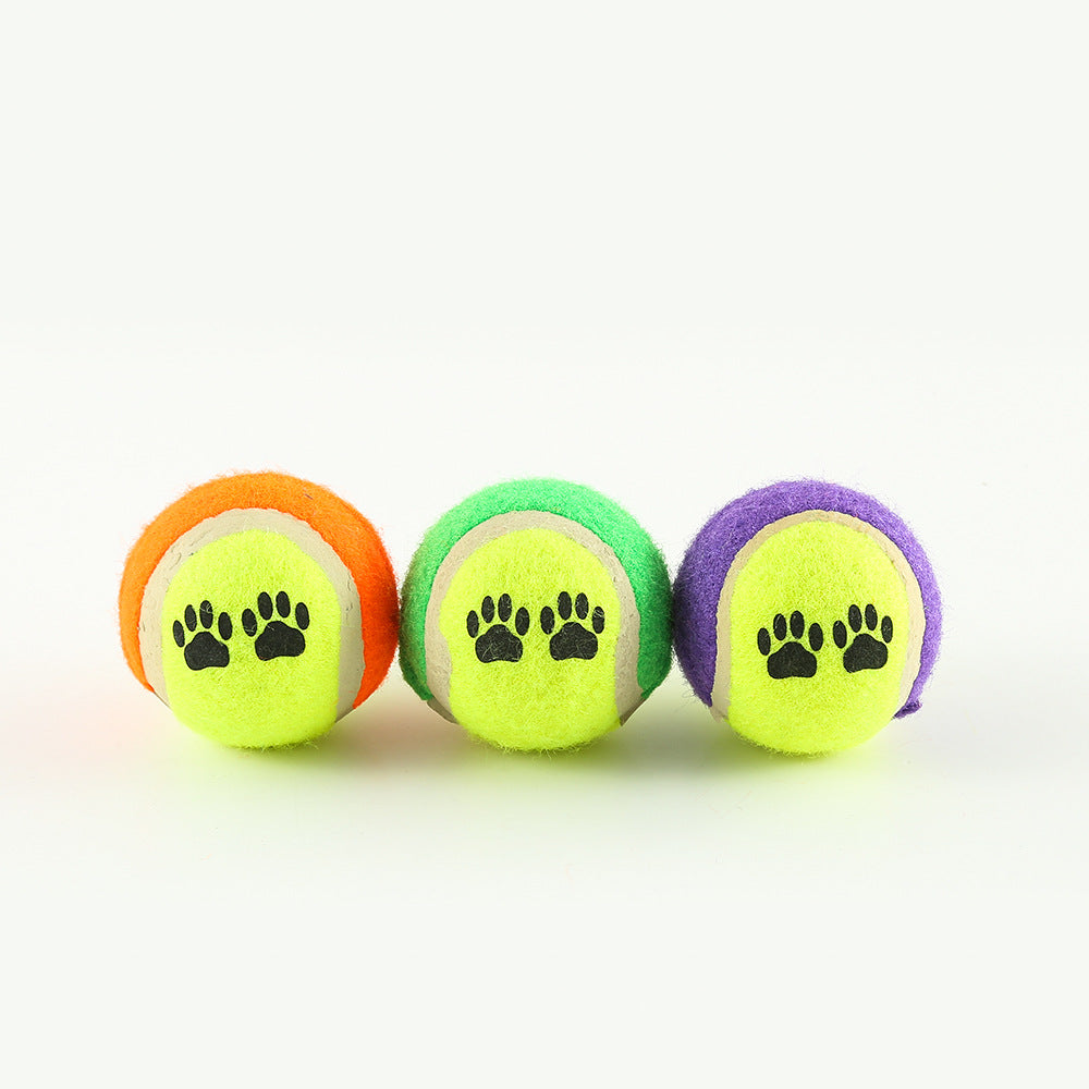 FetchMaster Dog Training Throw Toy